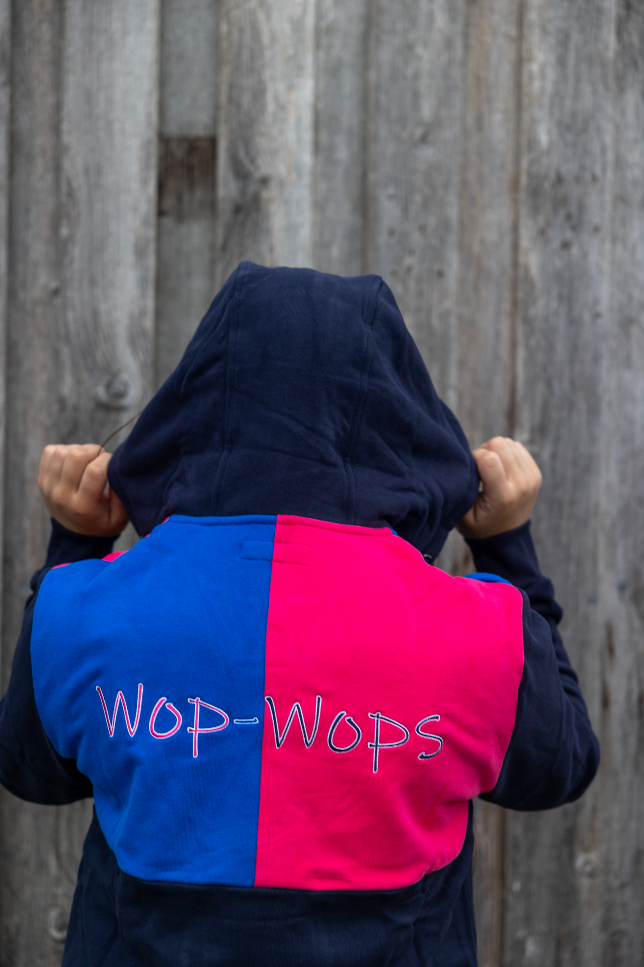 Shearing Hoodie (Pink)